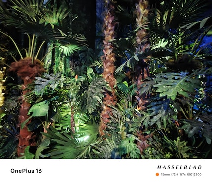 If you want, you can add watermarks to photos, which can be easily removed again.