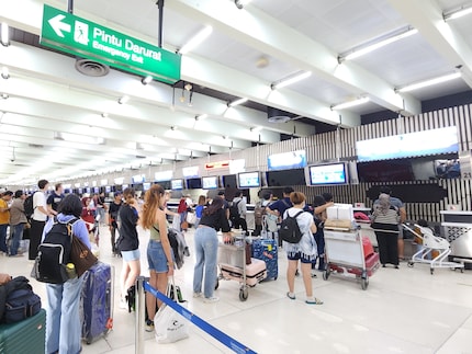 Such queues and lengthy check-in processes could be eliminated in future with the ICAO's planned digital travel documents.