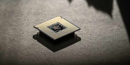 A real beauty!