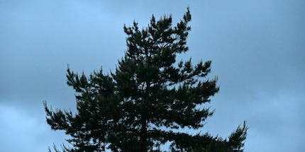 64 000 ISO, JPEG ohne Bearbeitung