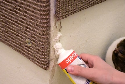 Zuerst durchkneten, dann die Paste rausdrücken.
