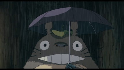 Totoro ist herrlich brummig, liebevoll und magisch.