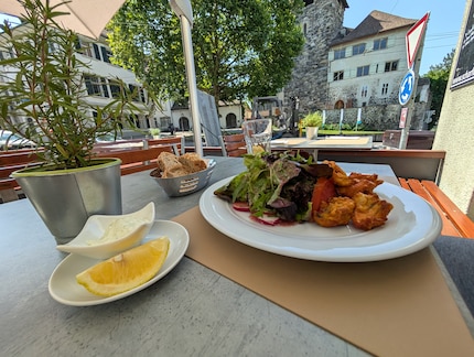 Mittagspause mit Blick aufs Schloss Frauenfeld.