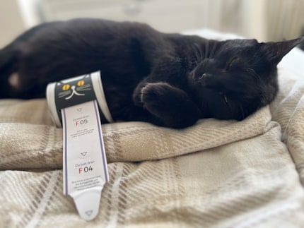 Ob ich dank der kuriosen Fakten wohl noch was Neues über meinen kleinen Panther erfahren werde?