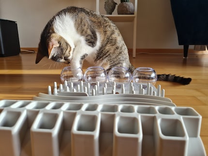 Mit der Zunge klappte es nicht, also muss die Pfote her.