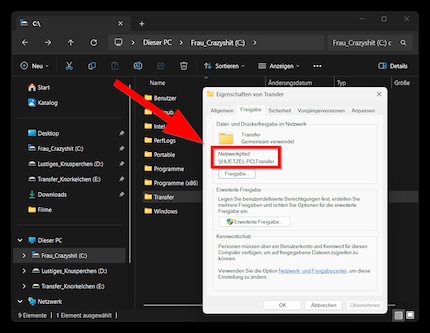 Mit Windows kannst du ebenso Ordner für andere Geräte im Netzwerk freigeben.