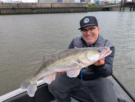 Petri. Ein gefangener Zander aus dem Hamburger Hafen.