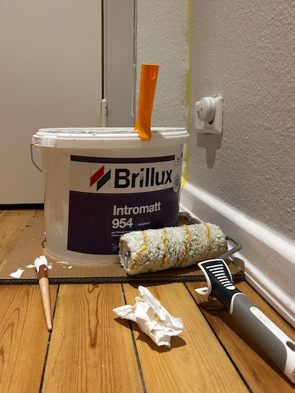 Brillux vs. Anna von Mangoldt: Wer gewinnt?