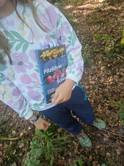 Die Tochter hat einen Pilzführer dabei. Dank diesem können wir bereits eine grobe Einteilung vornehmen.