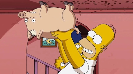 Homer lifts the spider pig: an absurd scene that made Simpsons history.