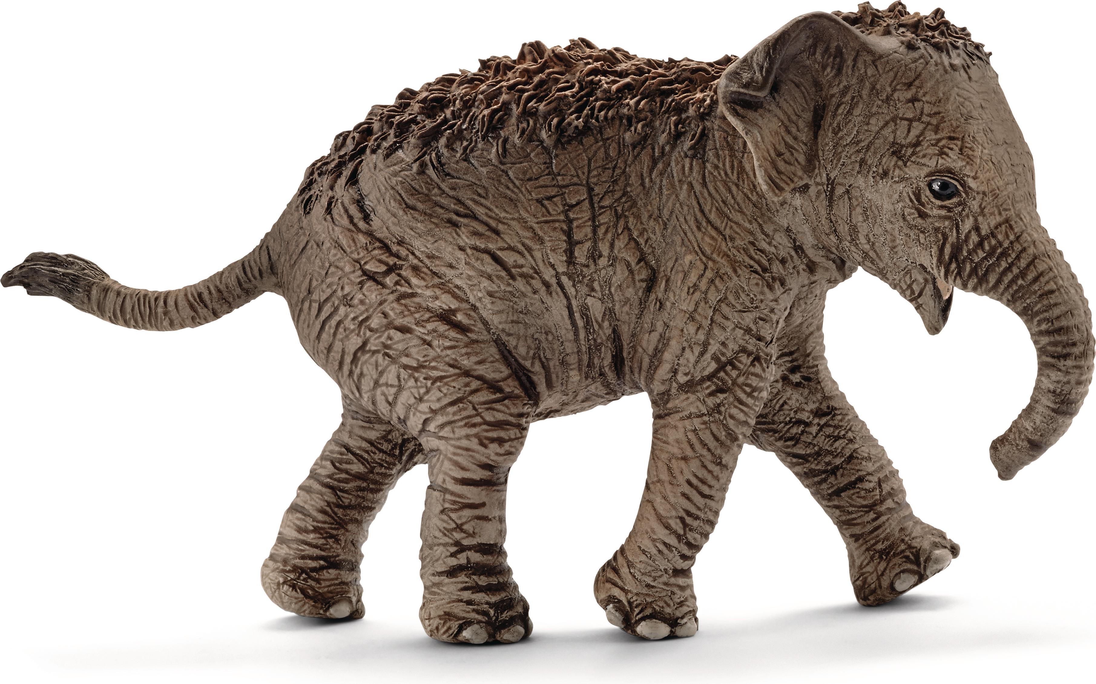 Schleich elephant outlet