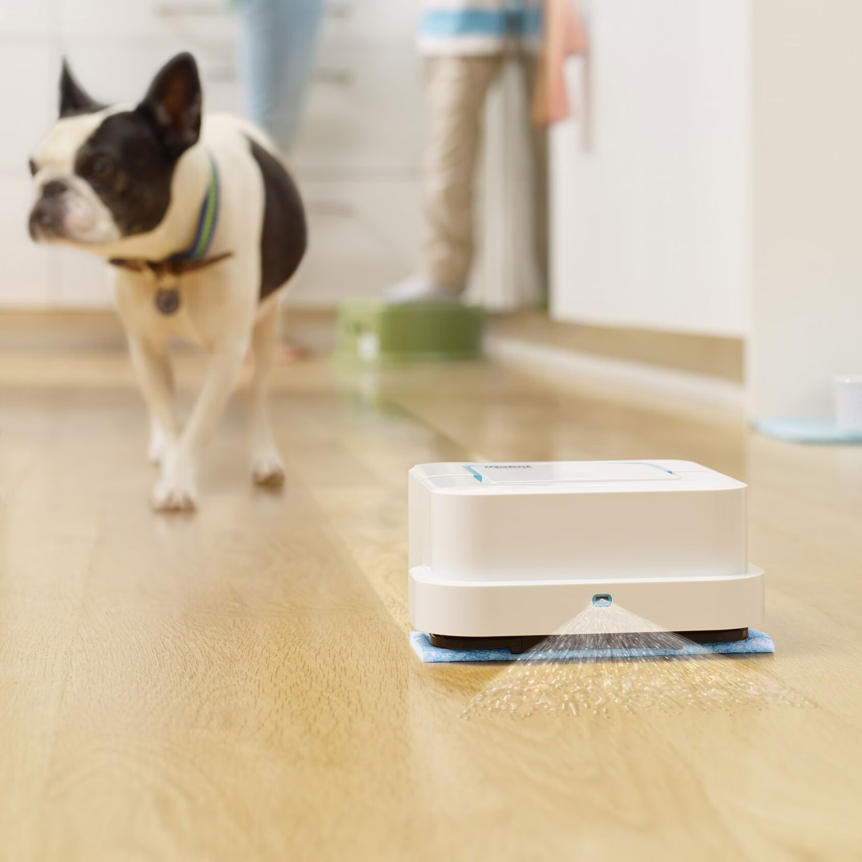 Reviews for iRobot Braava Jet 250 (Wiping cloth) - Galaxus