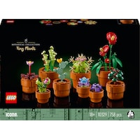 LEGO Mini Pflanzen (10329, LEGO Icons, LEGO Botanical)