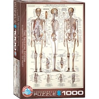 Eurographics Das SkeleT (1000 Teile)